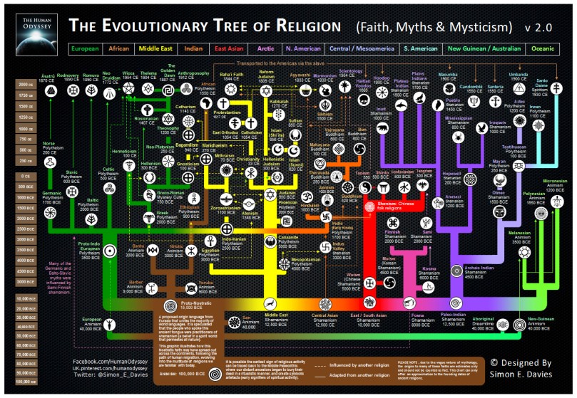 The Evolutionary Tree of Life Simon E Davies